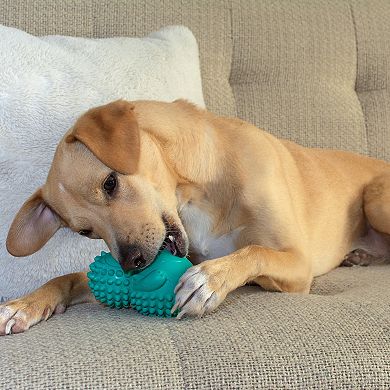 Friends Forever Bumpi Hedgehog with Tennis Ball