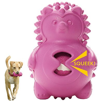 Friends Forever Bumpi Hedgehog with Tennis Ball