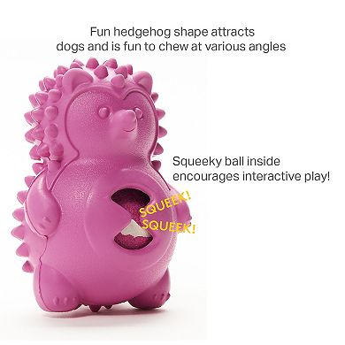 Friends Forever Bumpi Hedgehog with Tennis Ball