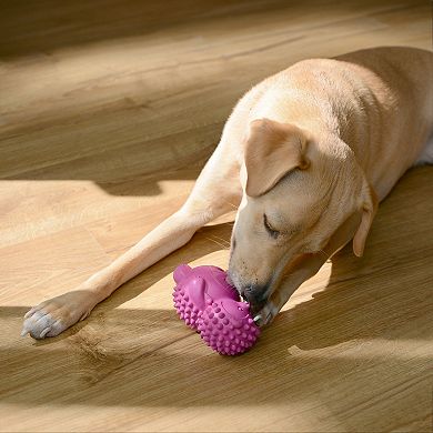 Friends Forever Bumpi Hedgehog with Tennis Ball