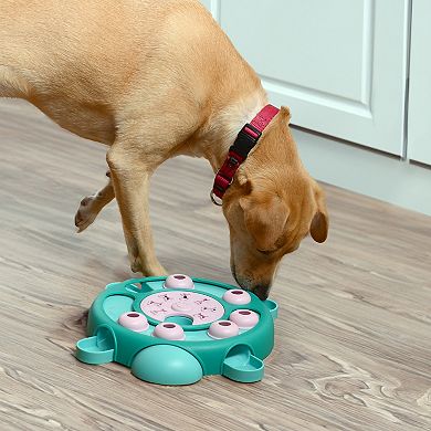 Friends Forever Bumpi Tortoise Puzzle Dog Toy