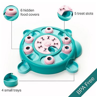 Friends Forever Bumpi Tortoise Puzzle Dog Toy