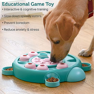 Friends Forever Bumpi Tortoise Puzzle Dog Toy