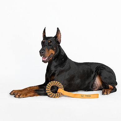 America's VetDogs Braided Ring Pet Toy