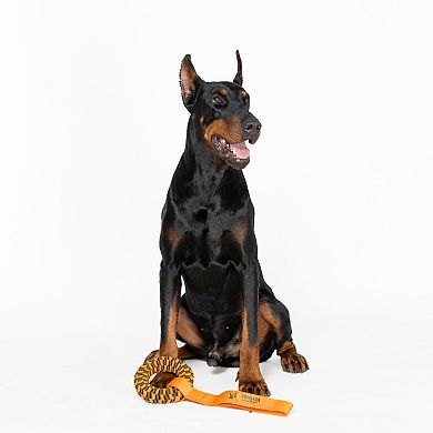 America's VetDogs Braided Ring Pet Toy