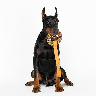 America's VetDogs Braided Ring Pet Toy