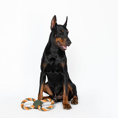 America's VetDogs Double Ring Pet Toy