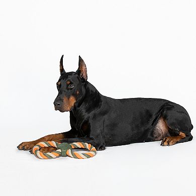 America's VetDogs Double Ring Pet Toy