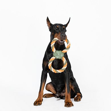 America's VetDogs Double Ring Pet Toy