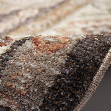Liora Manne Ariana Floral Medallion Indoor Rug