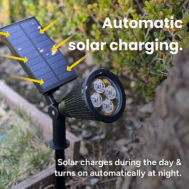 Techko 2-Piece Solar-Powered Pathway Spotlights Set