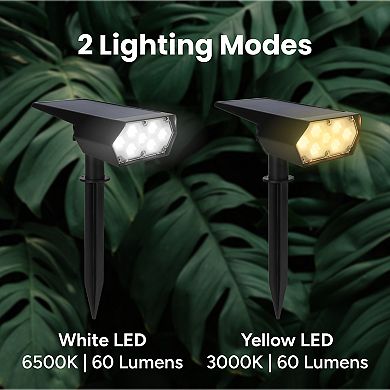 Techko Outdoor Solar LED Spotlight