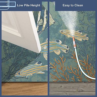 Liora Manne Marina Fish Indoor Outdoor Area Rug