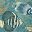 Aqua
