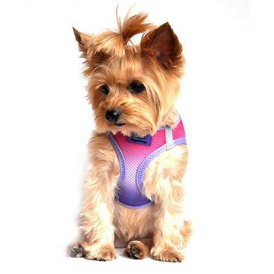Doggie Design American River Choke Free Dog Harness Ombre Collection-XXLarge/XXXLarge