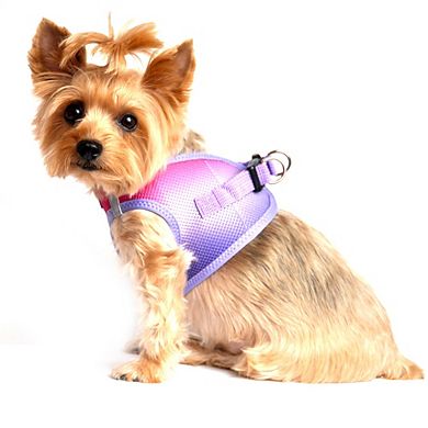 Doggie Design American River Choke Free Dog Harness Ombre Collection-XXLarge/XXXLarge