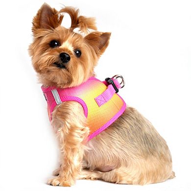 Doggie Design American River Choke Free Dog Harness Ombre Collection-XXLarge/XXXLarge