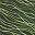 Moss