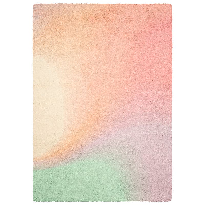 The Big One™ Ombre Pink Shag Area Rug 5Ft X 7 Ft 