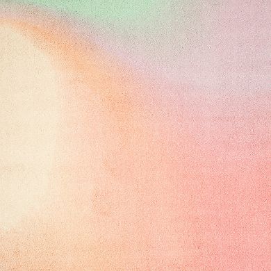 The Big One™ Ombre Pink Shag Area Rug