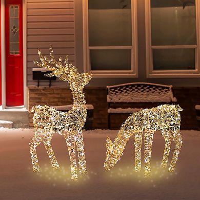 Northlight LED Twinkle Lighted Gold Mesh Reindeer Outdoor Christmas Decoration 2-piece Set