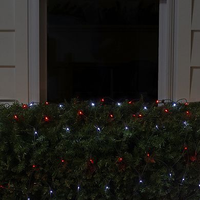 Northlight Red & White Micro LED Net Style Christmas Lights