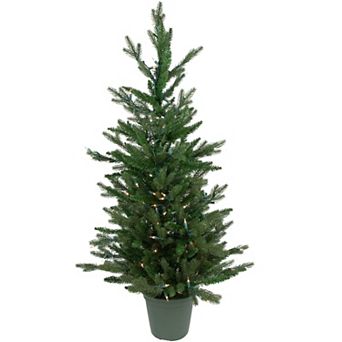 Northlight Real Touch™ Pre-Lit Grand Spruce 4-foot Potted Artificial Christmas Tree