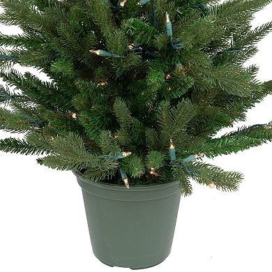 Northlight Real Touch™ Pre-Lit Grand Spruce 4-foot Potted Artificial Christmas Tree