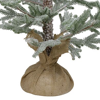 Northlight 3-Foot Frosted Pine Slim Artificial Christmas Tree with Jute Base