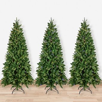 Northlight Real Touch™️ Multicolor LED Pre-Lit Slim Washington Frasier Fir Artificial Christmas Tree