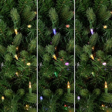 Northlight Real Touch™️ Multicolor LED Pre-Lit Slim Washington Frasier Fir Artificial Christmas Tree