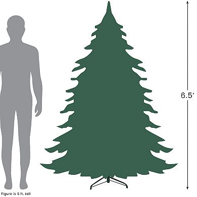 Northlight Real Touch™️ Multicolor LED Pre-Lit Slim Washington Frasier Fir Artificial Christmas Tree