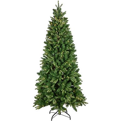 Northlight Real Touch™️ Multicolor LED Pre-Lit Slim Washington Frasier Fir Artificial Christmas Tree