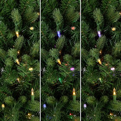 Northlight 7.5-foot Real Touch™️ Multicolor LED Pre-Lit Washington Frasier Fir Multi-Function Slim Artificial Christmas Tree