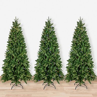 Northlight 7.5-foot Real Touch™️ Multicolor LED Pre-Lit Washington Frasier Fir Multi-Function Slim Artificial Christmas Tree