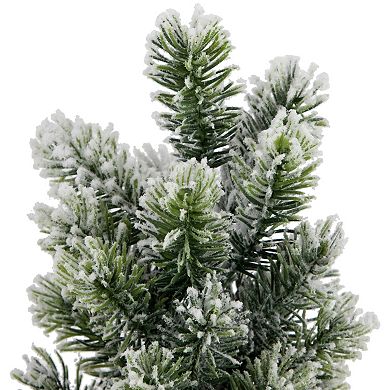 Northlight Mini Flocked Pine Artificial Christmas Tree 3-pc. Set