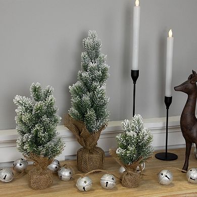Northlight Mini Flocked Pine Artificial Christmas Tree 3-pc. Set