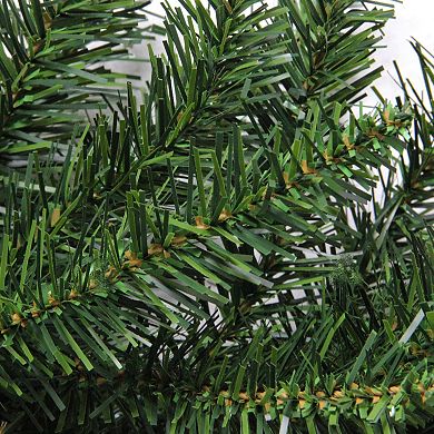 Northlight 25-foot Buffalo Fir Commercial Length Indoor / Outdoor Artificial Christmas Garland