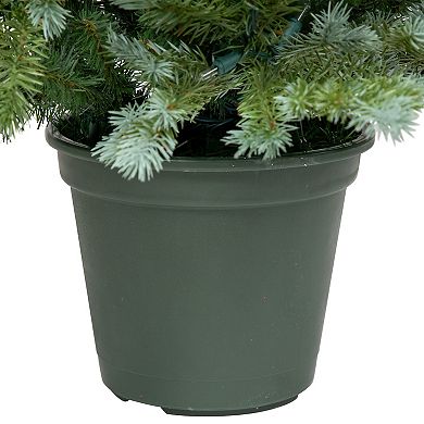Northlight 4-foot Pre-Lit Potted Blue Spruce Artificial Christmas Tree