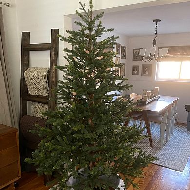 Northlight 6.5 ft. Unlit North Pine Artificial Christmas Tree 