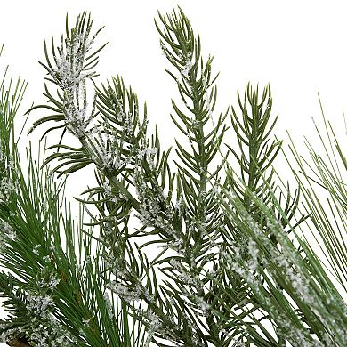 Northlight Frosted Mixed Pine & Cedar with Pinecones Artificial Christmas Garland