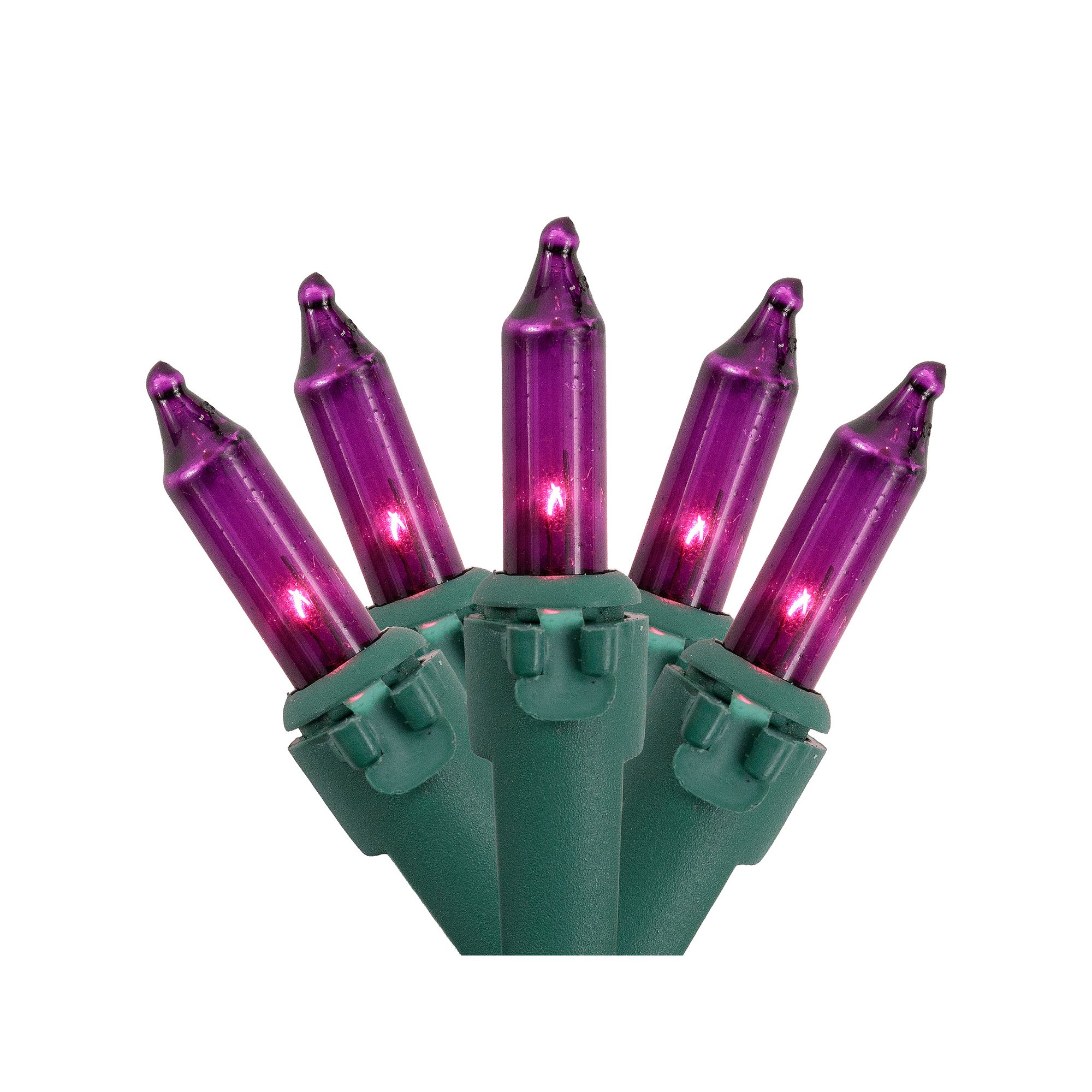 Northlight 50-Count Purple Mini Christmas Light Set