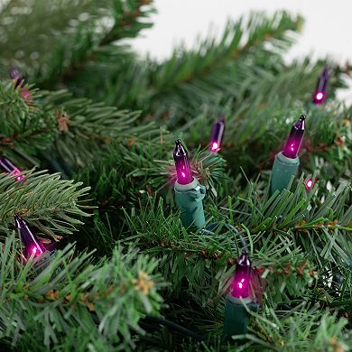 Northlight 50-Count Purple Mini Christmas Light Set