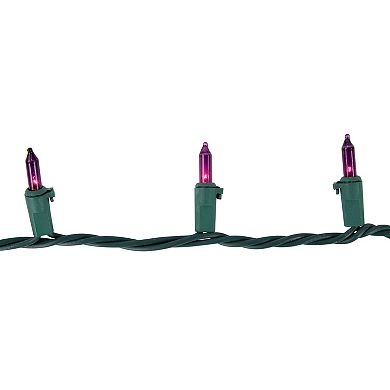 Northlight 50-Count Purple Mini Christmas Light Set 