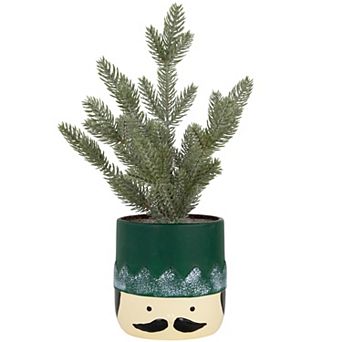 Northlight Mini Frosted Artificial Christmas Tree in Nutcracker Pot Table Decor