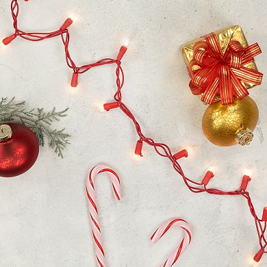 Northlight 20' Clear Mini Valentine's Day Lights