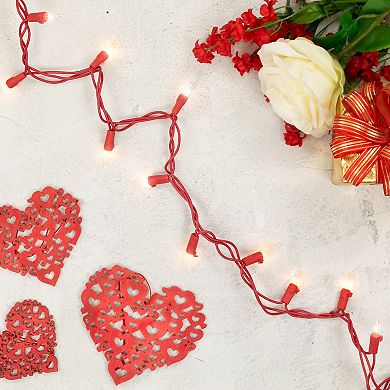 Northlight 20' Clear Mini Valentine's Day Lights