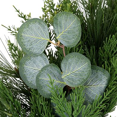 Northlight Eucalyptus and Mixed Pine Artificial Christmas Wreath