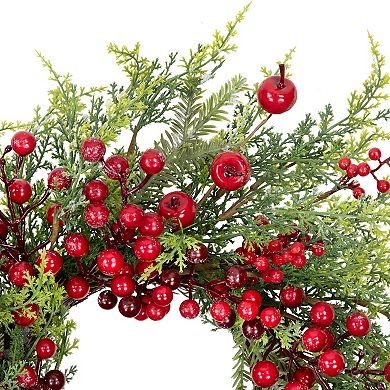 Northlight 24" Berry and Crabapple Artificial Cedar and Pine Wreath