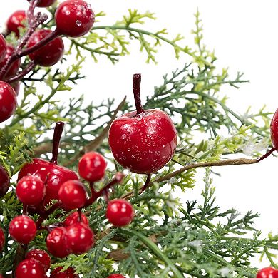 Northlight 24" Berry and Crabapple Artificial Cedar and Pine Wreath